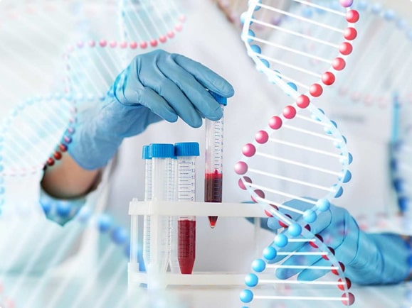 figure → dna.jpg 2 min